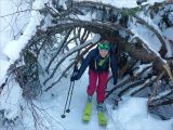 Col de la Pierre 2022-01-13: Route forestire!