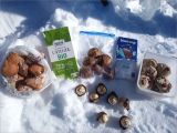 Col de la Pierre 2022-01-13: Un jeudi bien gastronomique, merci!!!