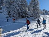 Team MCMD Sortie 2 ARVA PELLE SONDE 2023-12-03: Dpart pour recherche d'arva