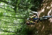 Deux jours en Diois 2025-05-01: J1 : Belle htraie sur le sentier de dcouverte