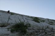 Nocturne au Charmant Som 2022-06-14: en vue de la fin