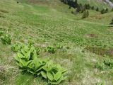 Rocher de Chalves 2024-05-26