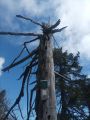Boucle  Gve et  la Sure 2024-05-25