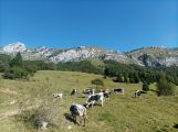 Mont Trelod 2024-09-15