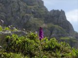 Pas de la Balme 2025-05-25