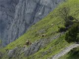Pas de la Balme 2025-05-25
