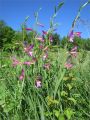 Tour du Luberon 2025-05-12