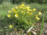 Tour du Luberon 2025-05-12