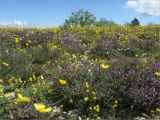 Tour du Luberon 2025-05-12