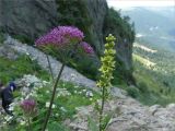 Lacs des Sept Laux 2025-07-05