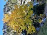 Col et Croix de lAlpe 2025-10-12