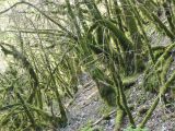 Col de Baure par Saint-Nazaire 2021-04-18