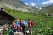 Lac de la Folle, Belledonne Nord 2023-06-25