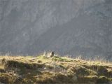 Col d'Arsine 2023-10-01