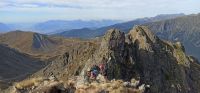 Loup des teppes 2026-09-13